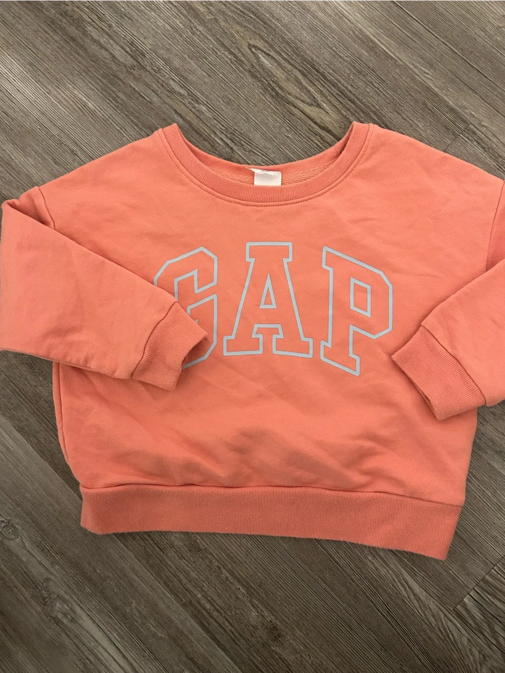 GAP Kids Coral Logo Sweatshirt